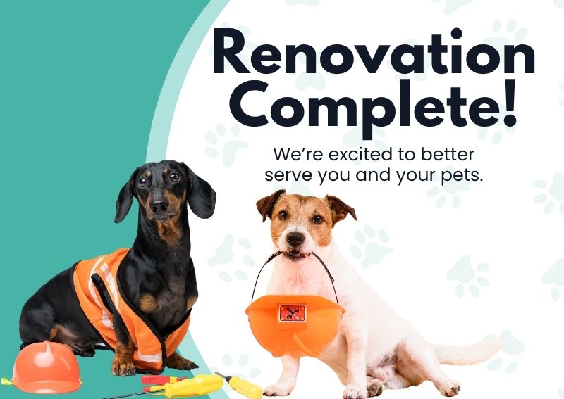Carousel Slide 1: McAdory Vet Clinic Renovations