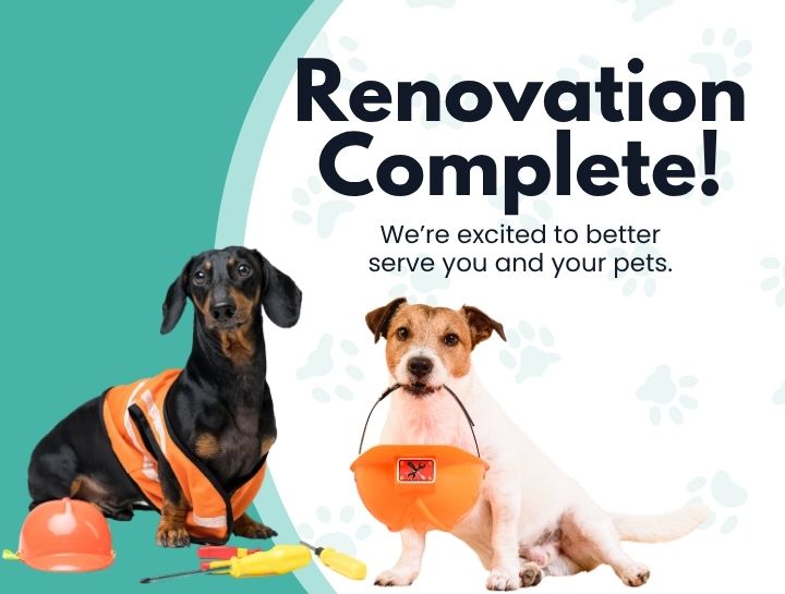 McAdory Veterinary Clinic has been Renovated to Serve You Better!
